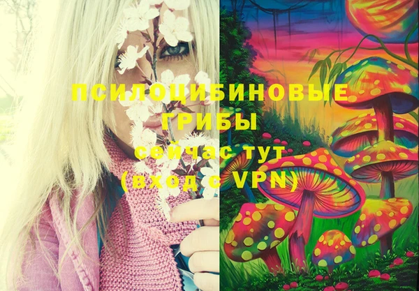 молекула духа Абаза