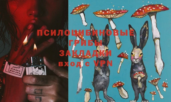 ГАЛЛЮЦИНОГЕННЫЕ ГРИБЫ Абинск