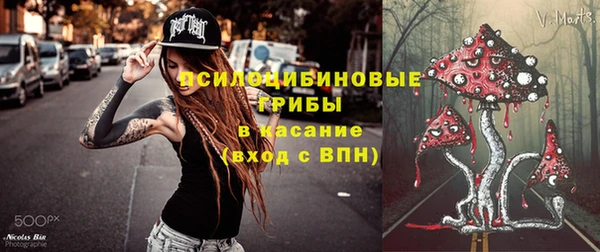 ГАЛЛЮЦИНОГЕННЫЕ ГРИБЫ Абинск