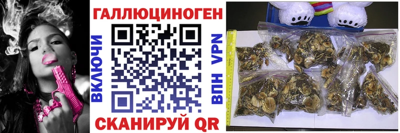 Галлюциногенные грибы Psilocybine cubensis  купить  цена  нарко площадка официальный сайт  Белый  kraken вход 